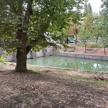 Kacsalak
